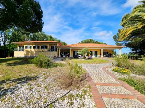 Excelente moradia T4+2 com piscina, em Santo Estêvão, Benavente