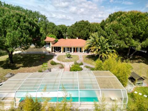 Excelente moradia T4+2 com piscina, em Santo Estêvão, Benavente