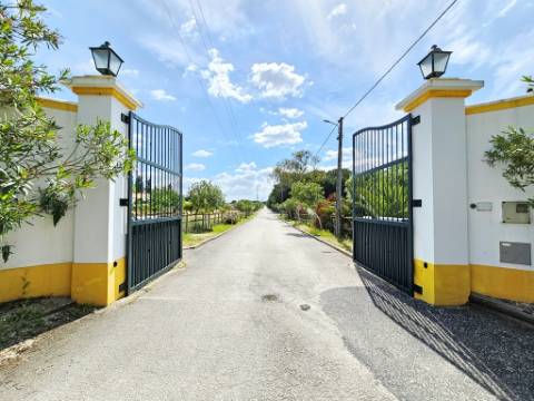 Excelente moradia T4+2 com piscina, em Santo Estêvão, Benavente