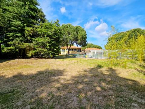 Excelente moradia T4+2 com piscina, em Santo Estêvão, Benavente