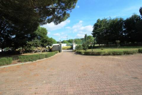 Excelente moradia T4+2 com piscina, em Santo Estêvão, Benavente