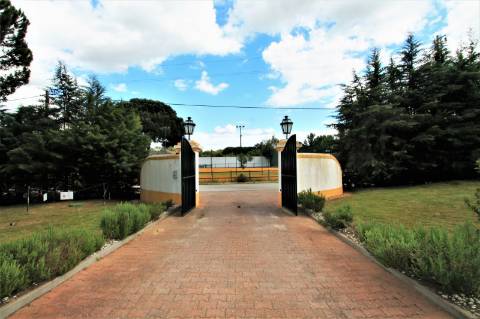 Excelente moradia T4+2 com piscina, em Santo Estêvão, Benavente