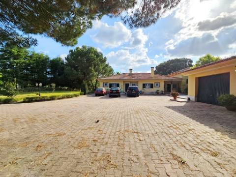 Excelente moradia T4+2 com piscina, em Santo Estêvão, Benavente