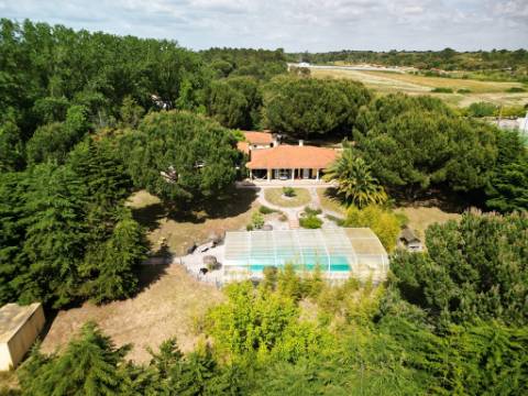 Excelente moradia T4+2 com piscina, em Santo Estêvão, Benavente