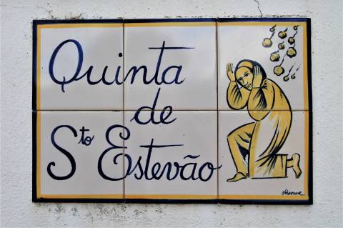 Excelente moradia T4+2 com piscina, em Santo Estêvão, Benavente