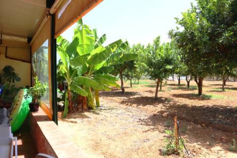 Quinta T4, em Luz de Tavira