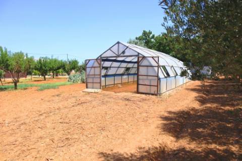 Quinta T4, em Luz de Tavira