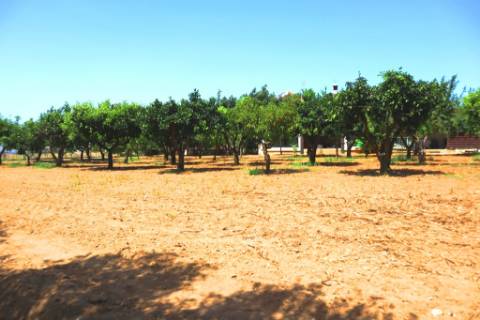 Quinta T4, em Luz de Tavira