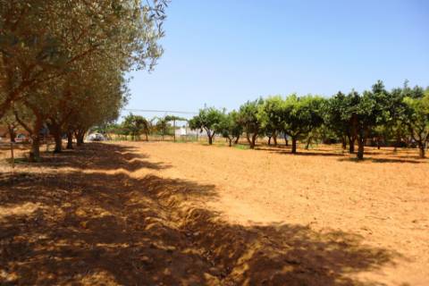 Quinta T4, em Luz de Tavira