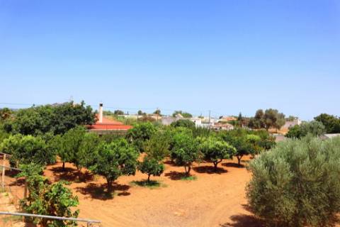 Quinta T4, em Luz de Tavira