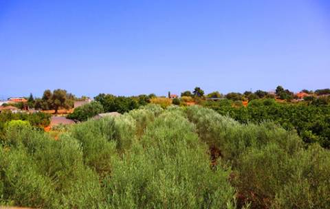 Quinta T4, em Luz de Tavira