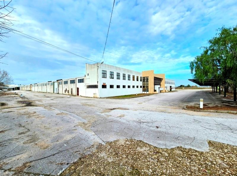 Armazém Industrial com 12.000m2, em Torres Novas, Santarém