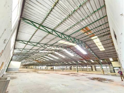 Armazém Industrial com 12.000m2, em Torres Novas, Santarém