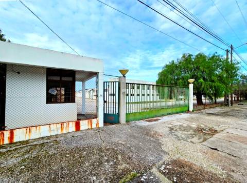 Armazém Industrial com 12.000m2, em Torres Novas, Santarém