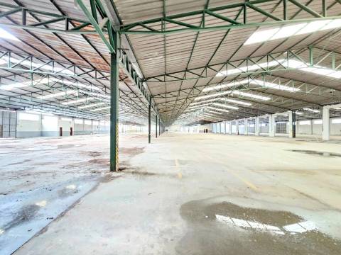 Armazém Industrial com 12.000m2, em Torres Novas, Santarém