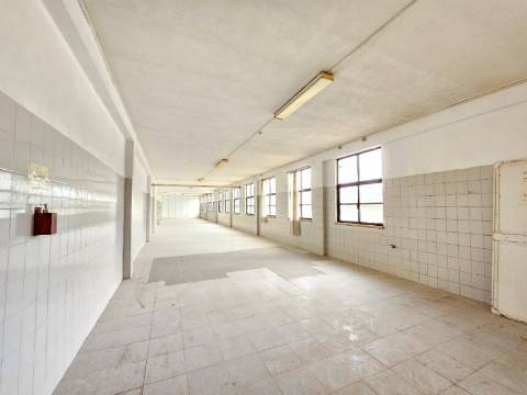 Armazém Industrial com 12.000m2, em Torres Novas, Santarém