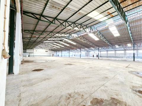 Armazém Industrial com 12.000m2, em Torres Novas, Santarém
