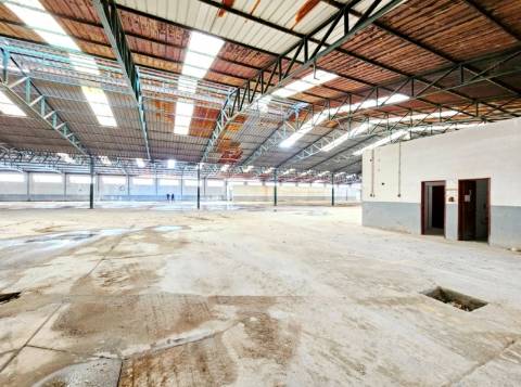 Armazém Industrial com 12.000m2, em Torres Novas, Santarém