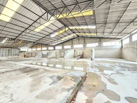 Armazém Industrial com 12.000m2, em Torres Novas, Santarém
