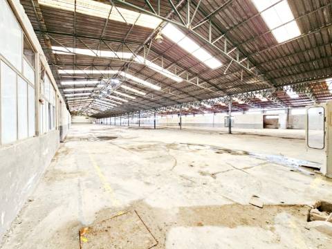 Armazém Industrial com 12.000m2, em Torres Novas, Santarém
