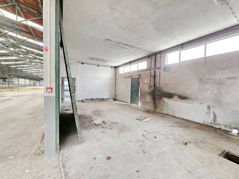 Armazém Industrial com 12.000m2, em Torres Novas, Santarém