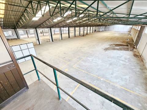 Armazém Industrial com 12.000m2, em Torres Novas, Santarém