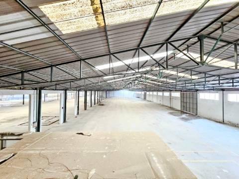 Armazém Industrial com 12.000m2, em Torres Novas, Santarém