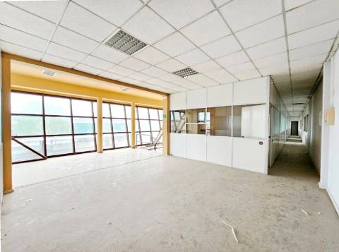 Armazém Industrial com 12.000m2, em Torres Novas, Santarém