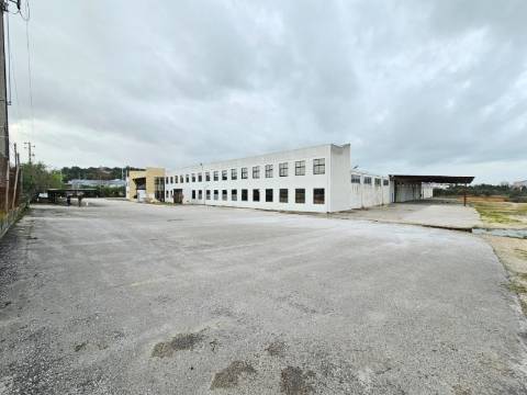 Armazém Industrial com 12.000m2, em Torres Novas, Santarém