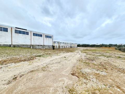 Armazém Industrial com 12.000m2, em Torres Novas, Santarém