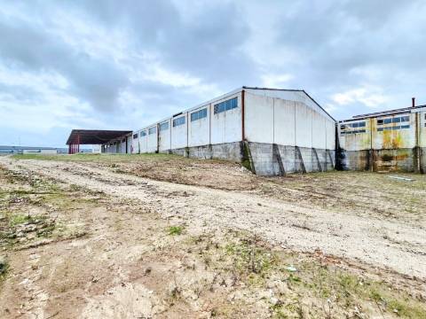 Armazém Industrial com 12.000m2, em Torres Novas, Santarém
