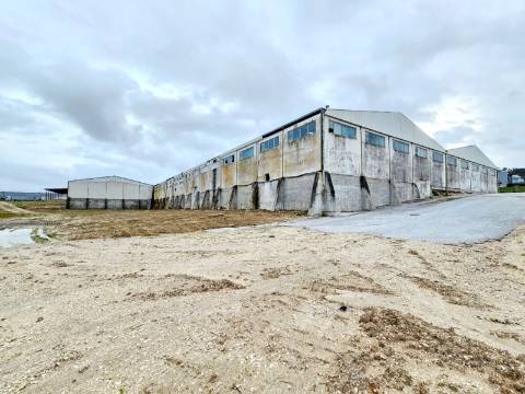 Armazém Industrial com 12.000m2, em Torres Novas, Santarém