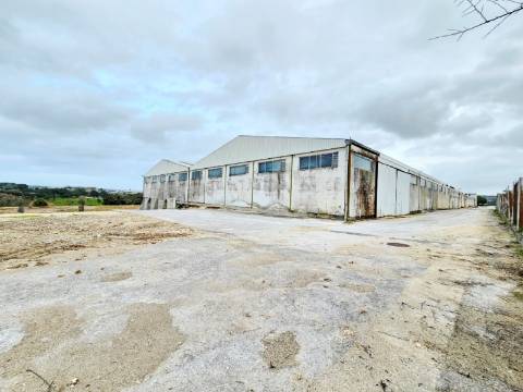 Armazém Industrial com 12.000m2, em Torres Novas, Santarém