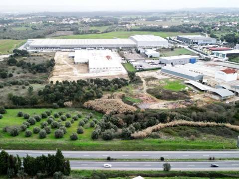 Armazém Industrial com 12.000m2, em Torres Novas, Santarém