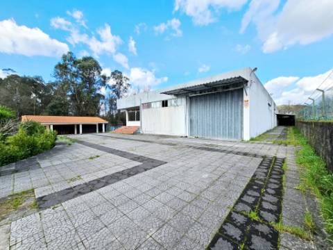 Moradia T5, piscina, e armazém, em Novais, Famalicão