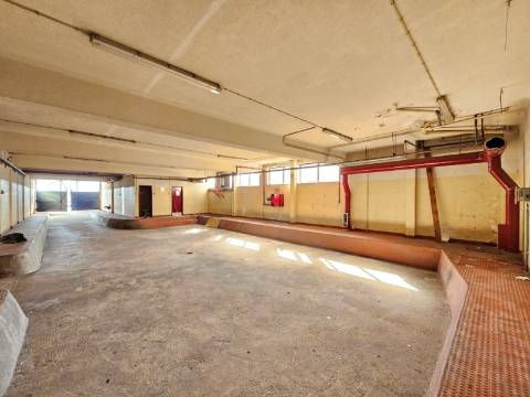 Edifício Industrial em Alfragide, Amadora, Lisboa.