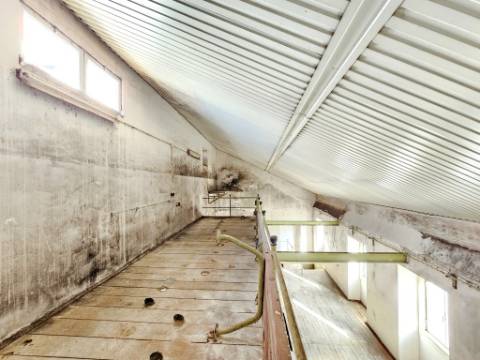 Armazém industrial com 1160 m2, em Gaeiras, Óbidos