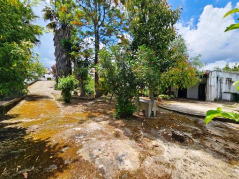 Edifício para Serviços, Residencia Senior com 19 camas e habitação, junto a Aveiras de Cima, Cartaxo