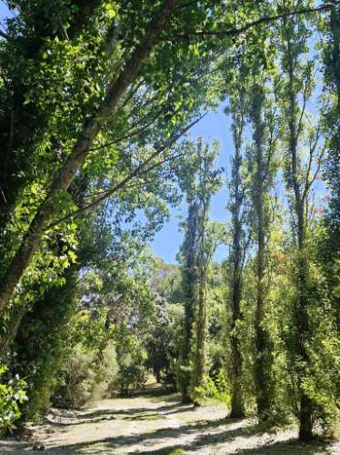 Quintinha de 10154m2 com moradia T5 e piscina, na Herdade Zambujeiro, Santo Estêvão