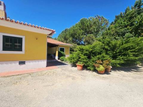 Quintinha de 10154m2 com moradia T5 e piscina, na Herdade Zambujeiro, Santo Estêvão