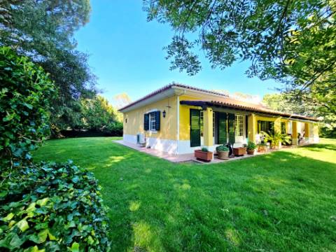 Quintinha de 10154m2 com moradia T5 e piscina, na Herdade Zambujeiro, Santo Estêvão