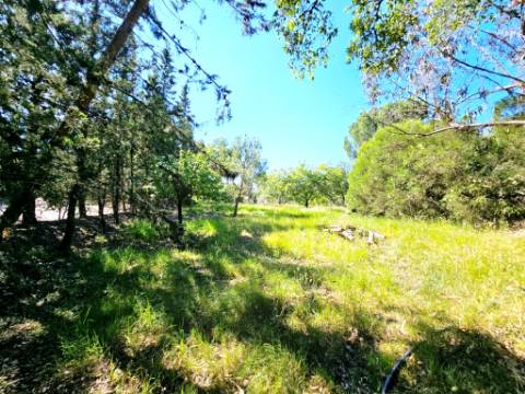 Quintinha de 10154m2 com moradia T5 e piscina, na Herdade Zambujeiro, Santo Estêvão
