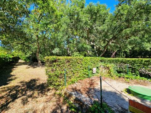 Quintinha de 10154m2 com moradia T5 e piscina, na Herdade Zambujeiro, Santo Estêvão