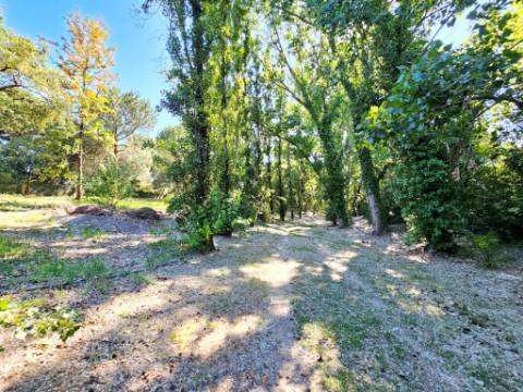 Quintinha de 10154m2 com moradia T5 e piscina, na Herdade Zambujeiro, Santo Estêvão
