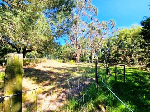 Quintinha de 10154m2 com moradia T5 e piscina, na Herdade Zambujeiro, Santo Estêvão