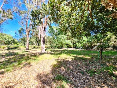 Quintinha de 10154m2 com moradia T5 e piscina, na Herdade Zambujeiro, Santo Estêvão