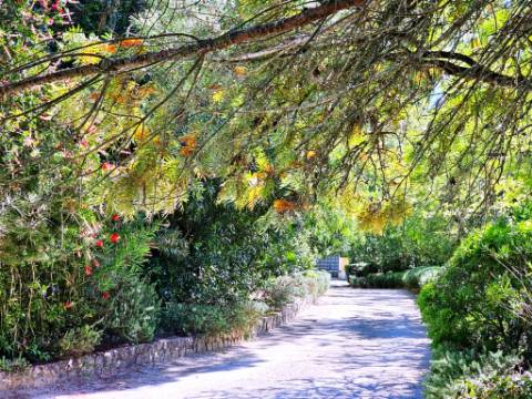 Quintinha de 10154m2 com moradia T5 e piscina, na Herdade Zambujeiro, Santo Estêvão