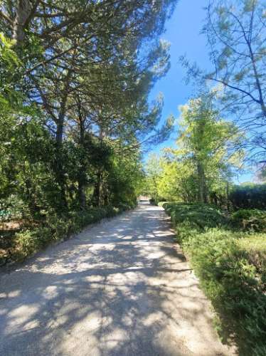 Quintinha de 10154m2 com moradia T5 e piscina, na Herdade Zambujeiro, Santo Estêvão
