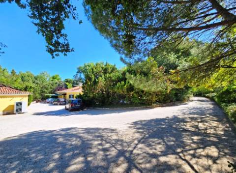 Quintinha de 10154m2 com moradia T5 e piscina, na Herdade Zambujeiro, Santo Estêvão