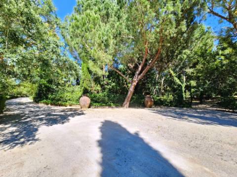 Quintinha de 10154m2 com moradia T5 e piscina, na Herdade Zambujeiro, Santo Estêvão